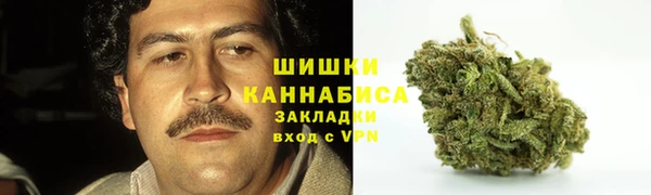 молекула духа Арсеньев