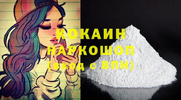 молекула духа Арсеньев