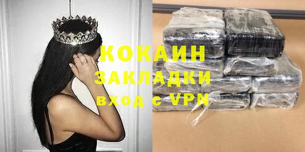молекула духа Арсеньев